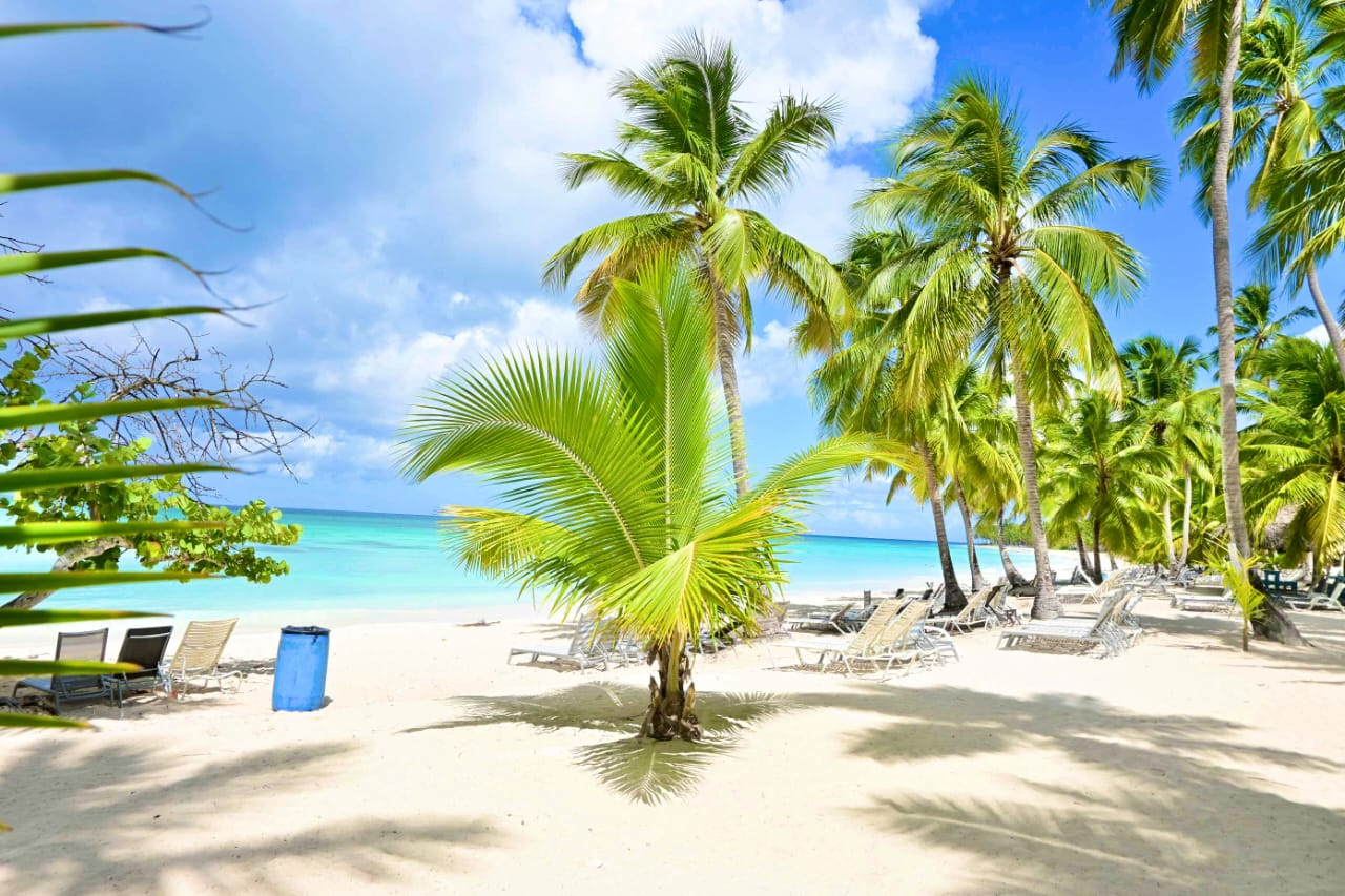 Saona - costa